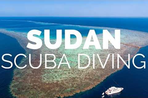 Scuba Diving Port Sudan - Pro Dive Travel With Nadia Aly