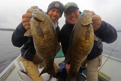 Topwater Smallmouth Bass Fishing in Canada
