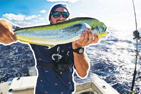 This is how we catch these ocean fish {Catch & Cook}