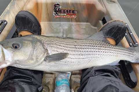 December Striper Fishing on Lake Lanier