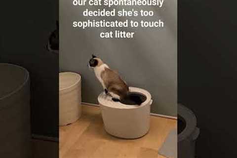 our #cat just taught herself to use the litterbox like a toilet?!