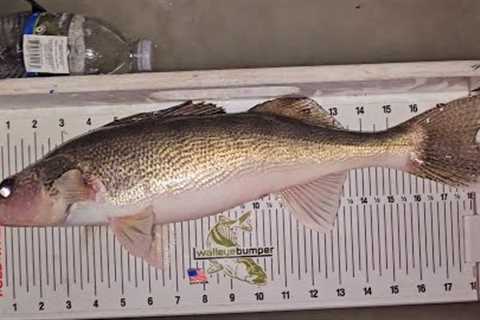 Ice Fishing Beaver Dam Lake WI | First Ice