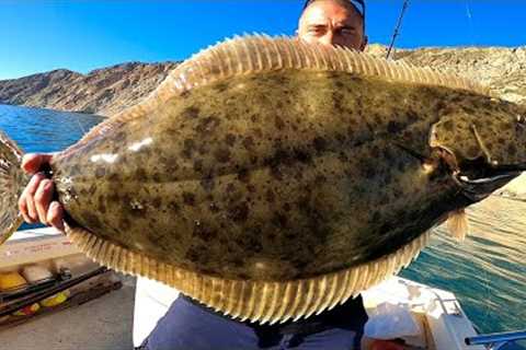 Catalina Island Fishing! (Halibut Catch, Clean and Cook)