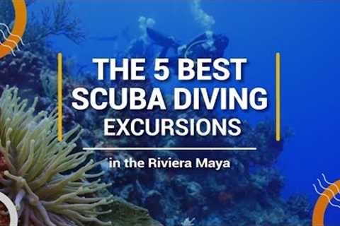 THE 5 BEST SCUBA DIVING EXCURSIONS IN THE RIVIERA MAYA