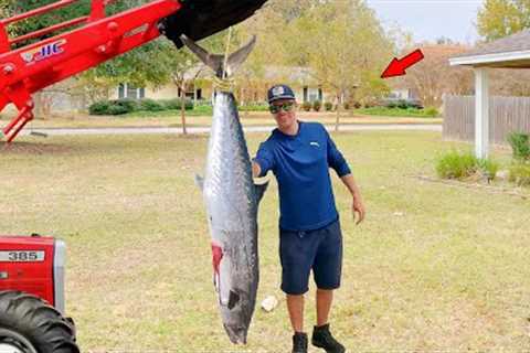 Big King Mackerel Catch, Clean, and Cook!