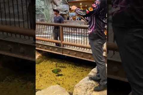 EPIC Fishing INSIDE Bass Pro Shops!!
