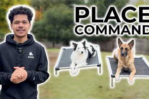 How to Teach Your Dog the “Place” Command