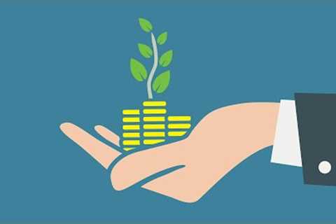 The Basics of Investing (Stocks, Bonds, Mutual Funds, and Types of Interest)