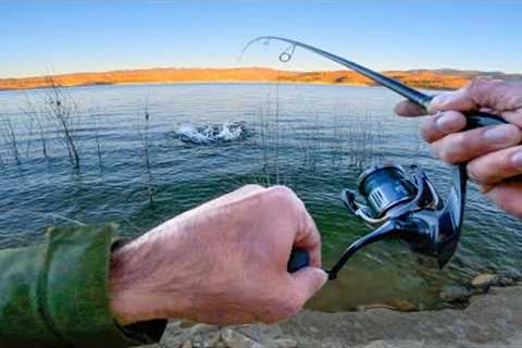 INSANE Topwater Striper Fishing from Shore at Castaic Lake !