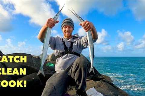 GARFISH - Catch Clean Cook , Mini Marlin Of the UK