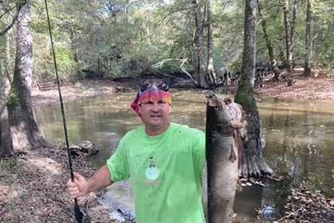 How to catch, clean, and cook Bowfin the right way