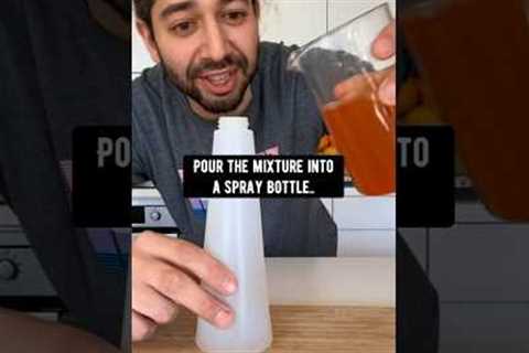 DIY Natural Insecticide for Plants | creative explained