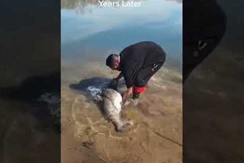 Just Letting My Pet Catfish Go 😂#pet #catfish #fishing #littlefish #bigfish