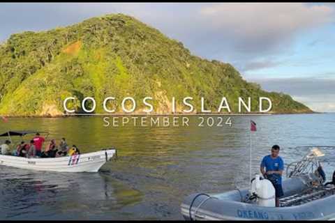 Cocos Island Scuba Diving - Liveaboard Trip on the Okeanos Aggressor II  - SeaCrush (September 2024)