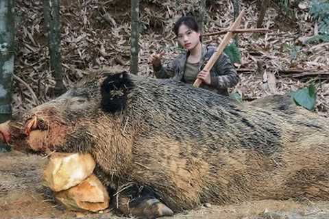 winter survival, trapping skills, wild boar, survival alone