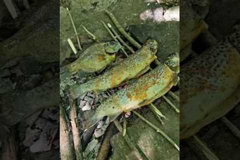Catching and cooking some trout and bluegill over a campfire 🏕