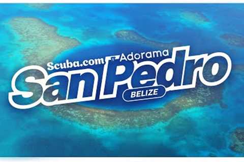 Dive with Us in Belize | Scuba.com Travel