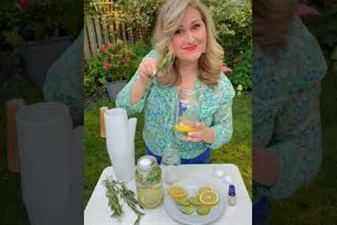 Make your own bug repellent 🦟