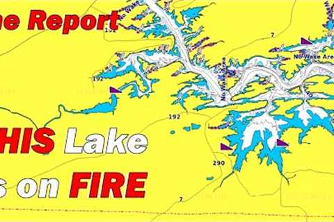Lake Hamilton, Lake Ouachita, and Lake Degray Bass Fishing Report 12/19/2024