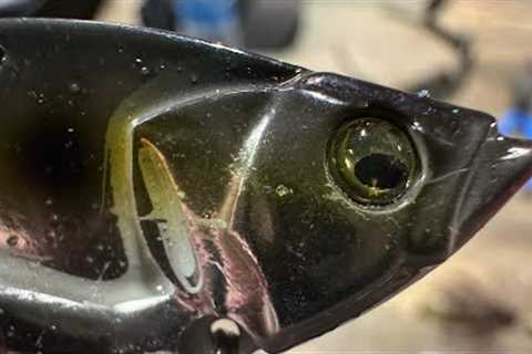 This Breakthrough New Lure Is Like Fishing With A Live Shad…