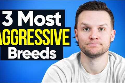 The 3 most AGGRESSIVE dogs to train as a dog trainer