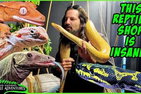 INSANE NEW REPTILE SHOP TOUR! Exotic Pets Reptile Store, Kansas City!