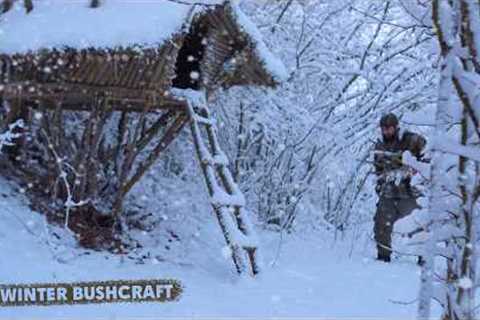 WINTER SURVIVAL in the Wilderness, Building a Bushcraft Shelter!