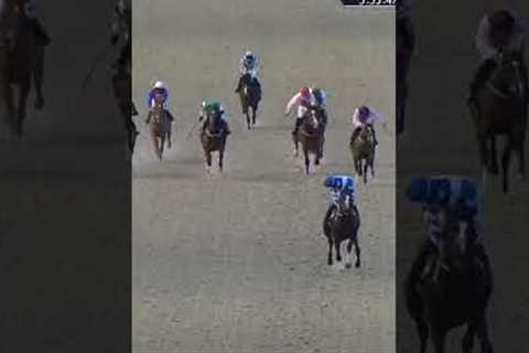 Bizarre race at Dundalk sees 12 jockeys banned #horse #horseracing #racingtv #britishhorseracing