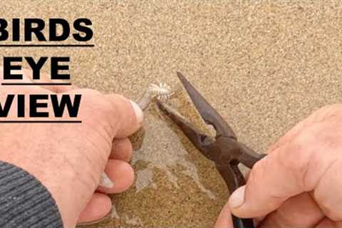 BEACH WORMS