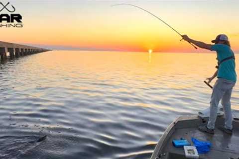 Sunset Hammers!! Speckled Trout Double Episode - Catch &amp; Cook