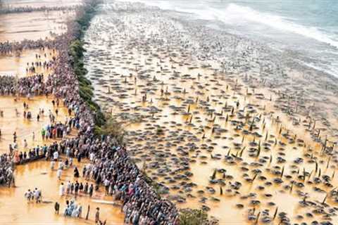 They Spilled Billions of Tons of Water into the Desert, a Year Later the Result Was Unexpected