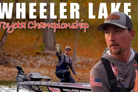 FINAL event of the year! Toyota Series Championship