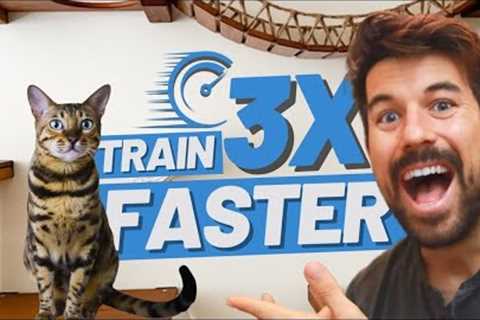 Clicker Train Your Cat Faster avoiding these 5 MISTAKES