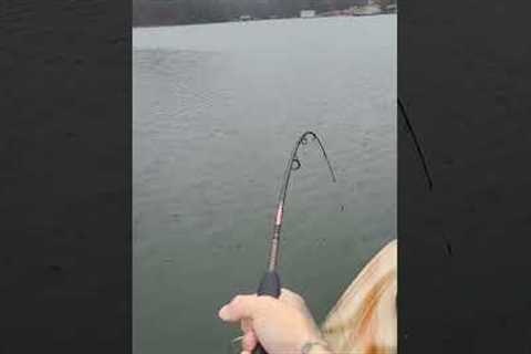 Early December Striper Fishing Lake Lanier