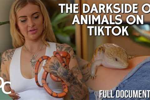 How Social Media Is Fueling The Exotic Pet Trade | Exotic Pet Trade Exposed | @DocoCentral
