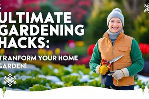 Ultimate Gardening Hacks: Transform Your Home Garden! home gardening ideas gardening tips and tricks