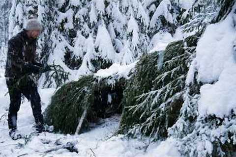 Building a Shelter to Survive HEAVY SNOW:  3 Days Bushcraft Adventure in a Frozen Forest