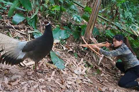 perfect shelter, winter survival, wild chicken hunting skills, survival alone