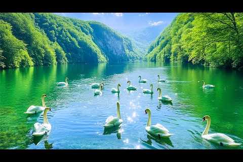 Soothing and Relaxing Music to Reduce Stress and Stop Overthinking 🌿 Melodies for the Soul and Mind