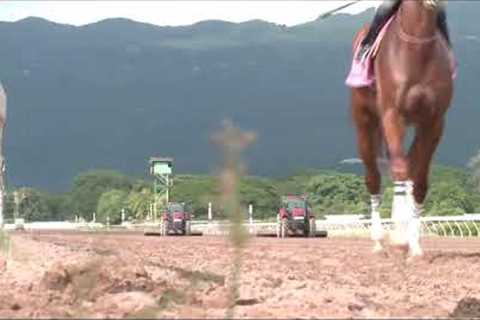 Caymanas Park Jamaica | Tuesday, December 24, 2024