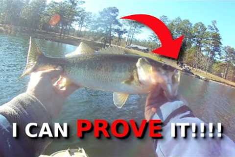 The Absolute BEST Spot For Winter Bass Fishing!!! (EVERY Lake Has This!!!)