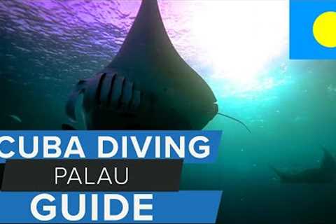 Scuba Diving Palau Travel Guide w/ @AggressorAdventures
