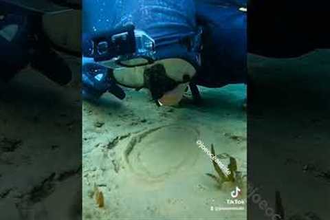 This got 34 million views (Underwater phenomenon!) #nature #scubadiving