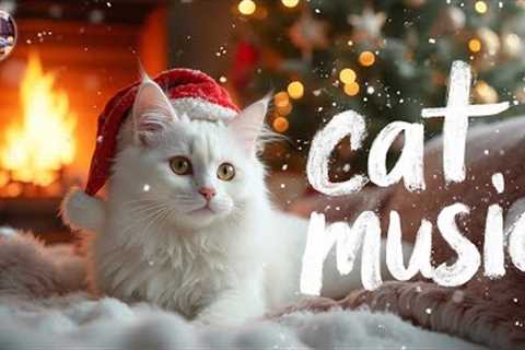 Christmas Cat Music 🎄 Soothing Holiday Melodies for Cats 🐾 Reduce Stress &amp; Anxiety