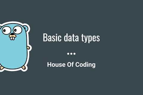 Golang Tutorial for Beginners - Basic data types in Golang