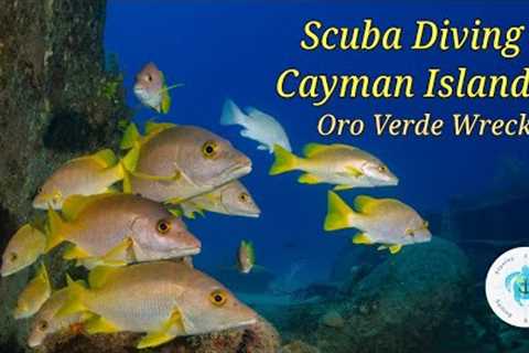 Scuba Diving The Grand Cayman Oro Verde Wreck