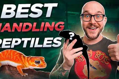 The Most Handleable Pet Reptiles! No Bites, Just Love!