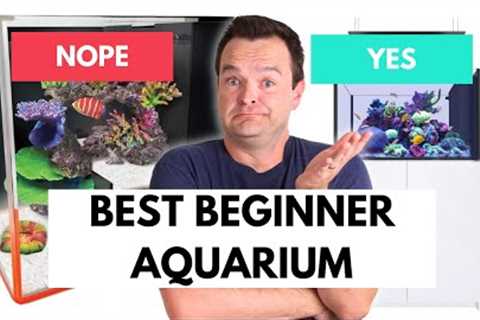The Best Size Saltwater Aquarium For Beginners