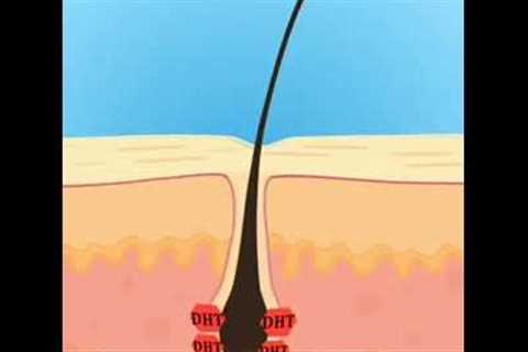 Hair growth animation