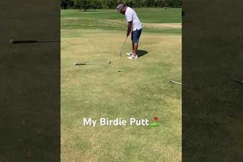 A chill day golfing with my friends #golf #golfer #pga #golflife #golfing #golfshot #birdie